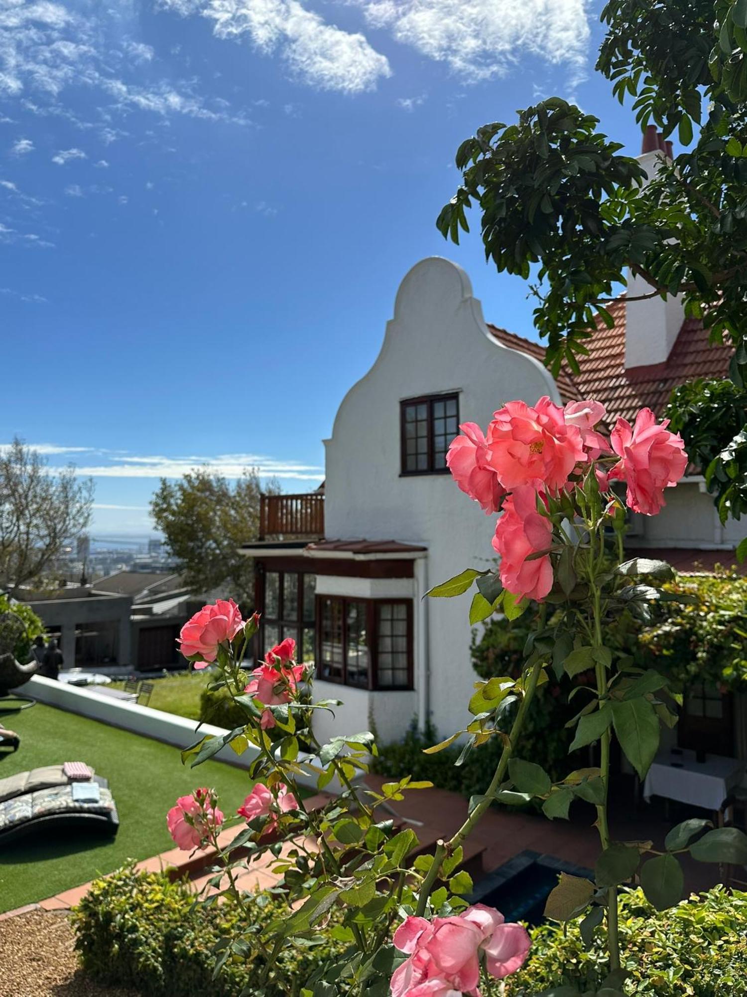 مبيت وإفطار كيب تاون Acorn House المظهر الخارجي الصورة